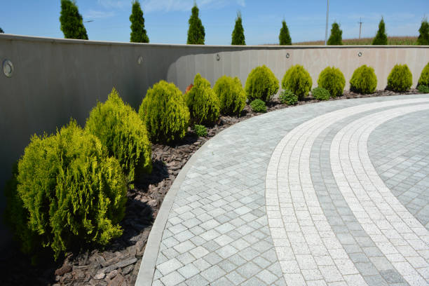 Best Driveway Paving Contractor  in Mino Tassajara, CA